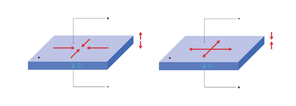Standard plates: Axial and radial displacement due to longitudinal and transversal effect